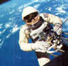 White.jpg (35214 Byte)