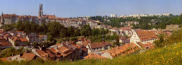 Panoramablick auf Freiburg